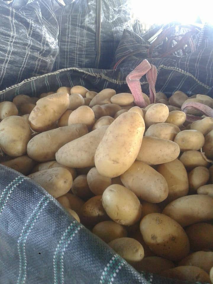 Aton Green Egypt Fresh Fruits & Vegetables